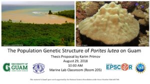 180816 thesis proposal announcement karim primov 0