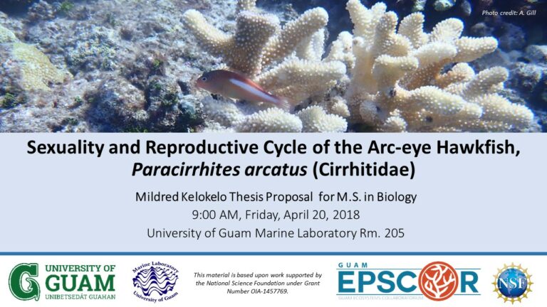 How to write thesis proposal picture