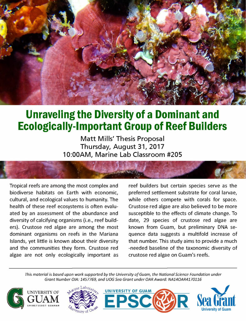 matt mills thesis proposal flyer 0