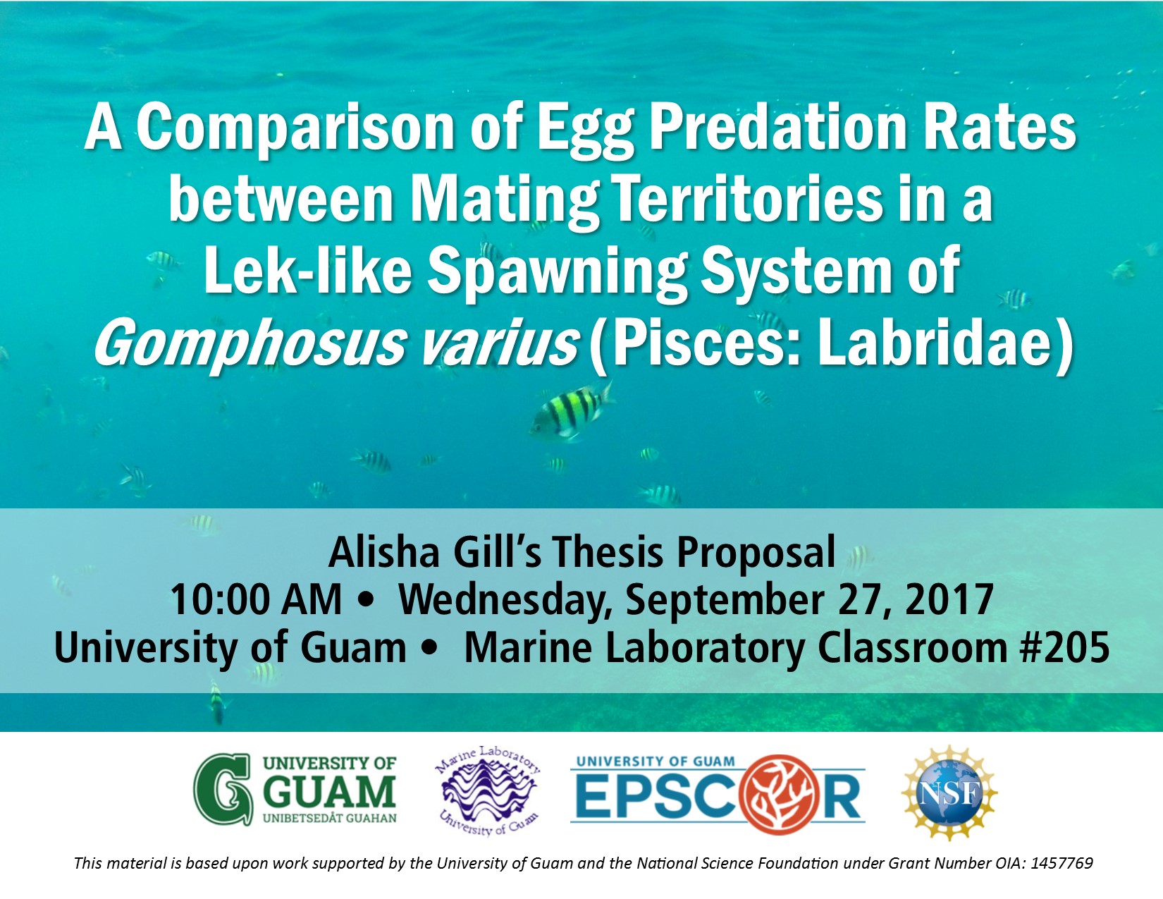 alisha gill thesis proposal flyer