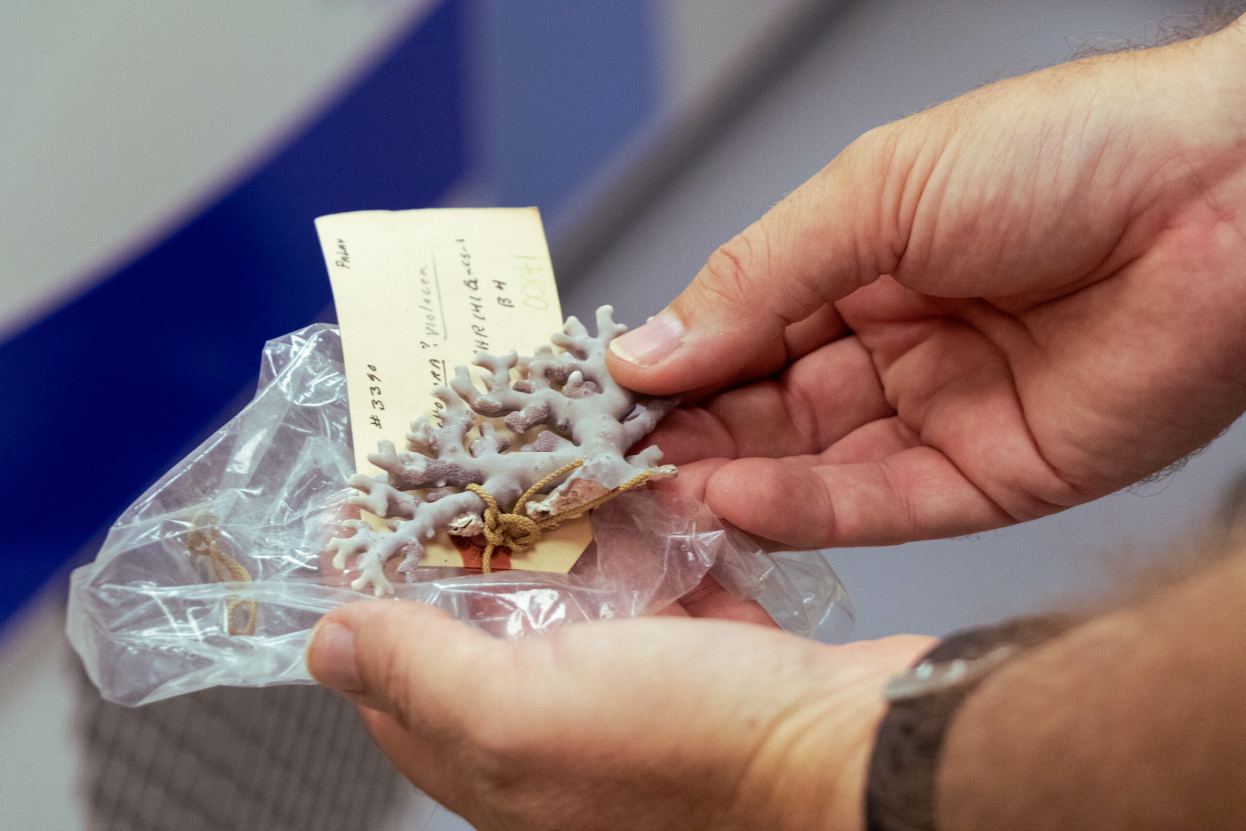 News Release EPSCoR Biorepository Photo 3 scaled