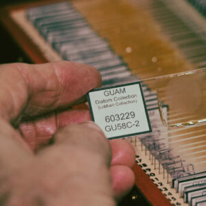 Diatom Archive Photo 1 1 scaled e1631506178568