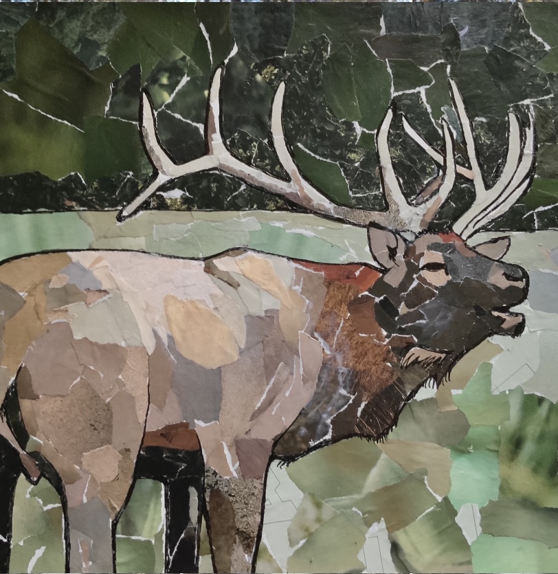 During her stay at the Great Smoky Mountains National Park, Sartor used magazines to make upcycled collages of the animals and sites she saw at the park such as this elk. She worked with park officials and learned that elk had been reintroduced to the park since the natural population was hunted to extinction in the 1900s.