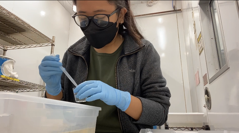 (Photo by Louise Pascua) “My experience during the summer was so much fun! I was able to do research on something I had zero experience in which was terrifying but also very enjoyable,” said Louise Pascua, a biology major and a 2022 Guam NSF EPSCoR student researcher. “It's a little cliche to say, however I do believe that my love for science has been re-ignited. I made many life-long friends and built many professional relationships, while also finding myself.”