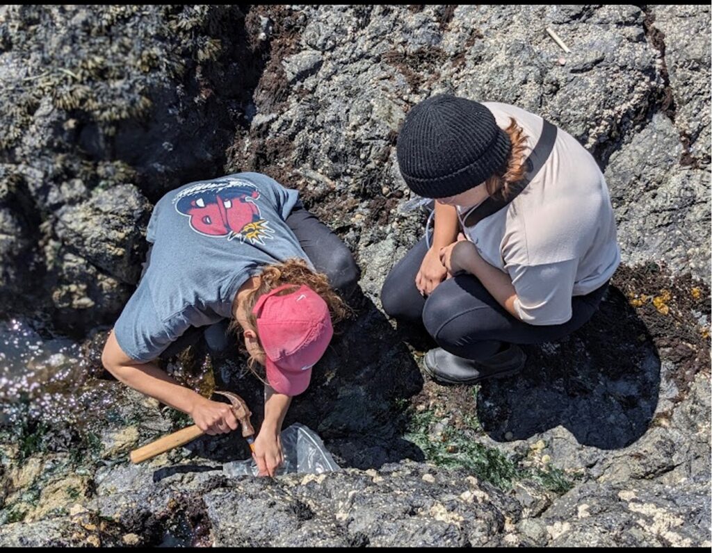 Marine Botany Photo 2