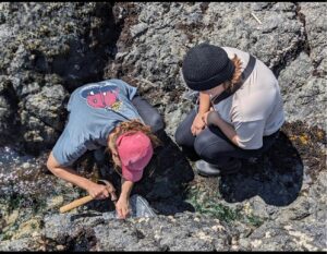 Marine Botany Photo 2