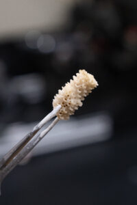 Microalgae Paper Photo 4