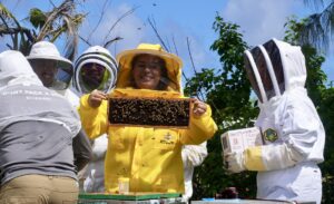 The Guam Green Growth Connservation Corps is recruiting members for its upcoming fifth season.  Members will be involved with various sustainability linked projects including work with invasive species and other wildlife.