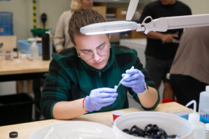 Guam NSF EPSCoR Biorepository Associate Abigail Huber collecting tissue samples from specimens to send to the Smithsonian Institution for DNA sequencing.