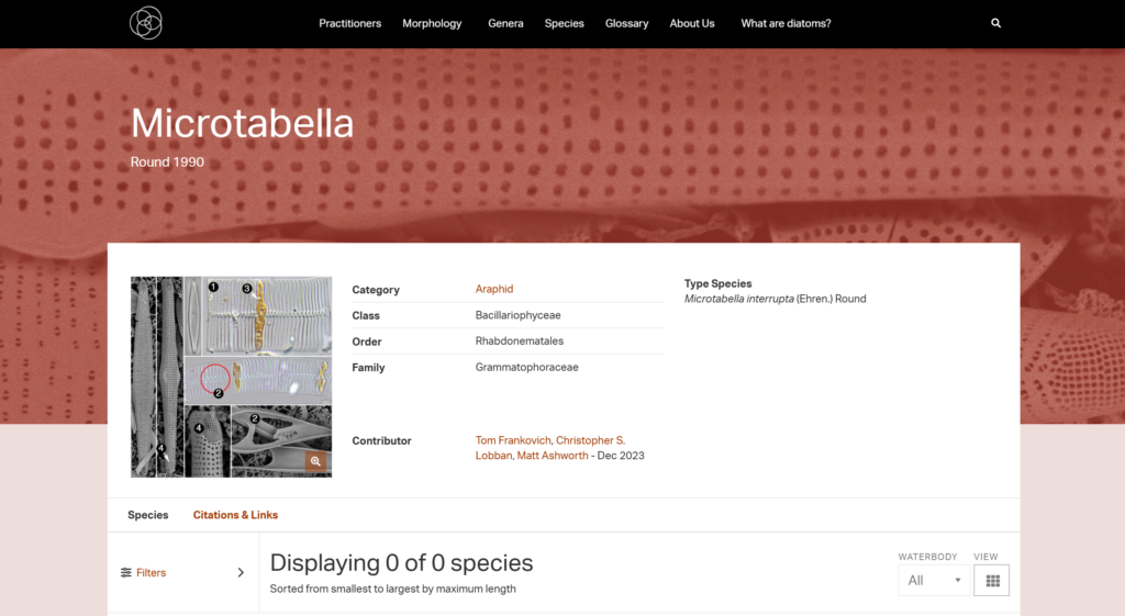 Frankovich, T., Lobban, C., Ashworth, M. (2023). Microtabella. In Diatoms of North America.