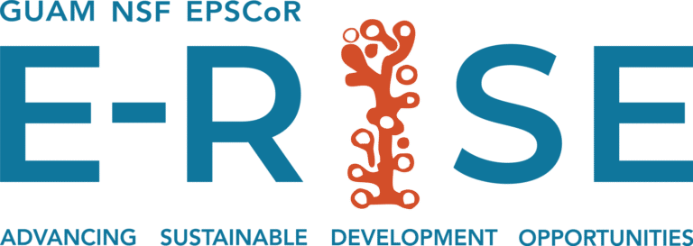 E-RISE Logo