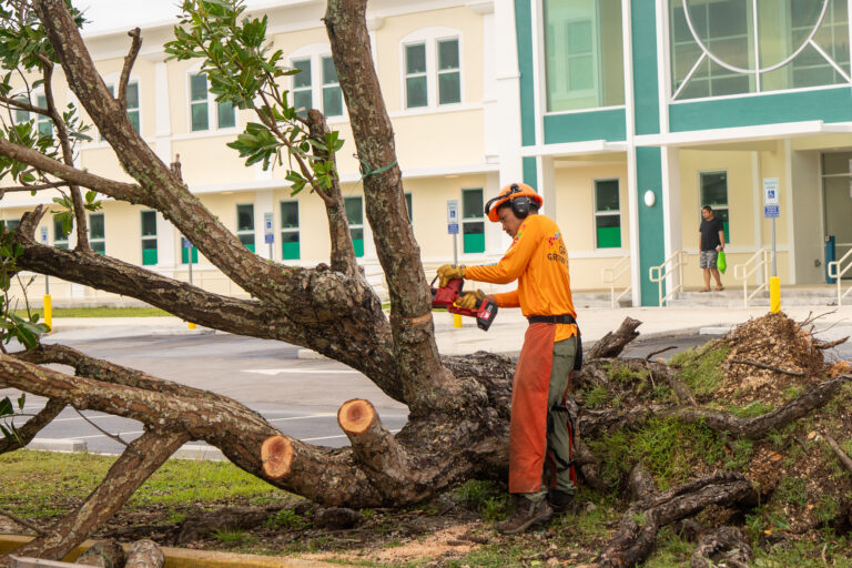 G3CC supervisors removing a downed tree removal with a chainsaw.