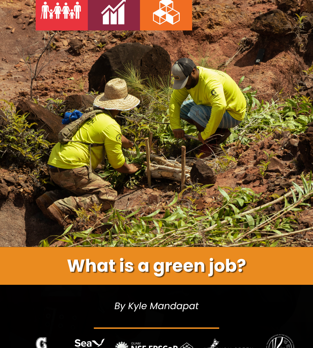 What is a Green Job face