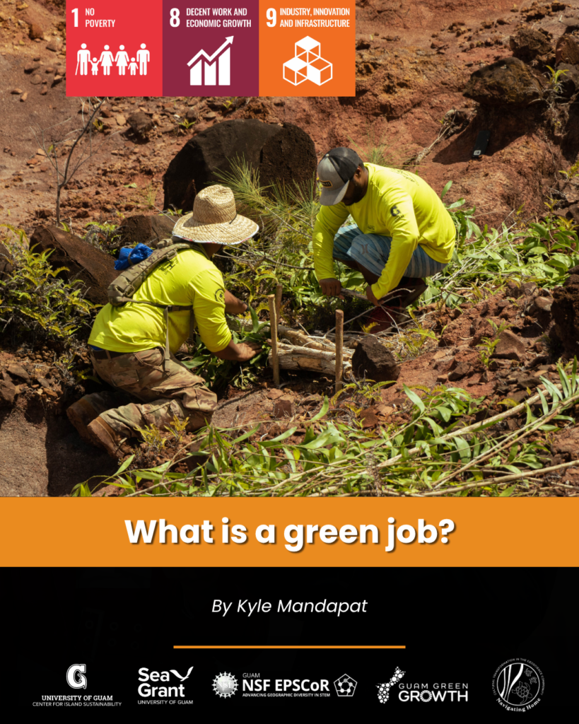 What is a Green Job face