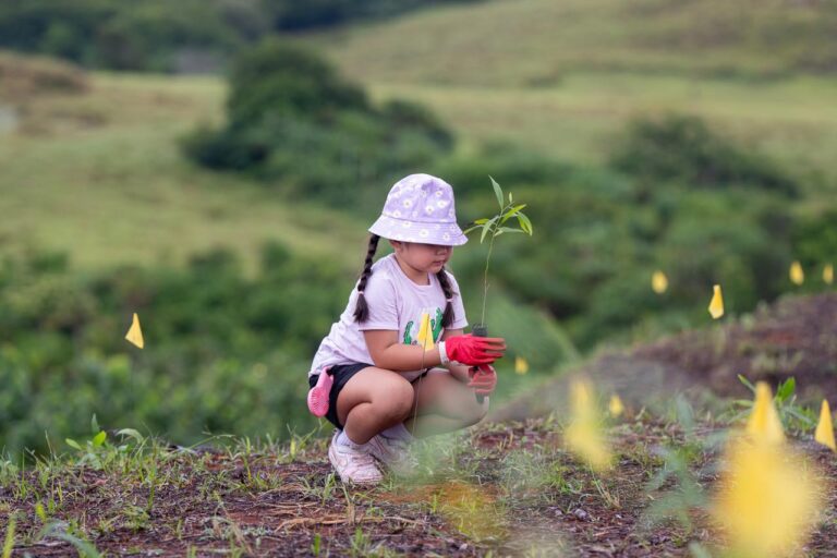 A young girl kneeling in a field to plant a seedling with yellow marker flags in the background
