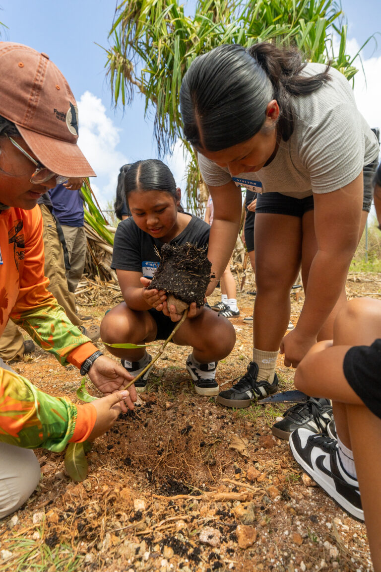 Community volunteers in work clothes and gloves planting young trees together