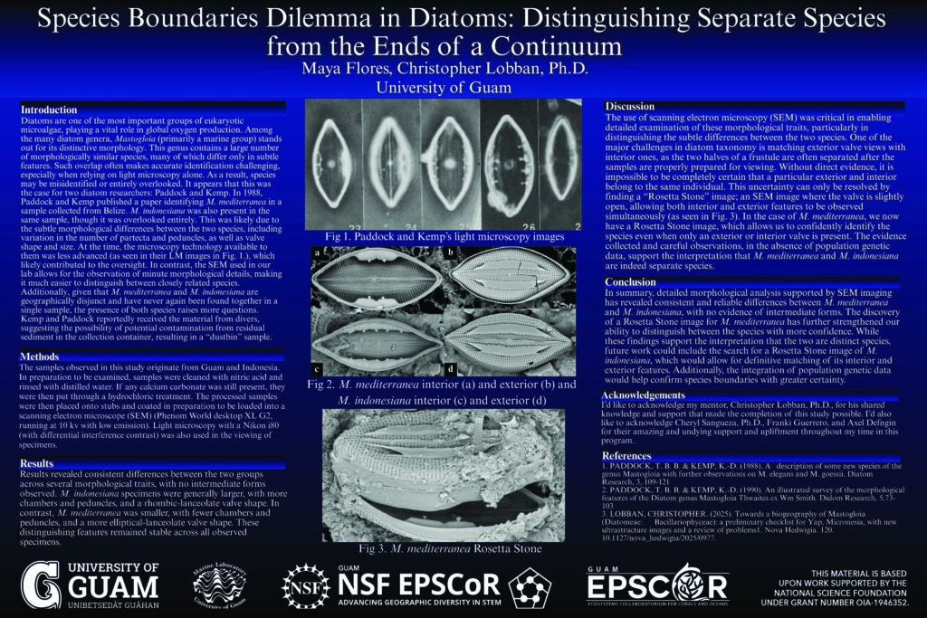 Thumbnail preview of the research poster: Species Boundaries Dilemma in Diatoms: Distinguishing Separate Species from the Ends of a Continuum